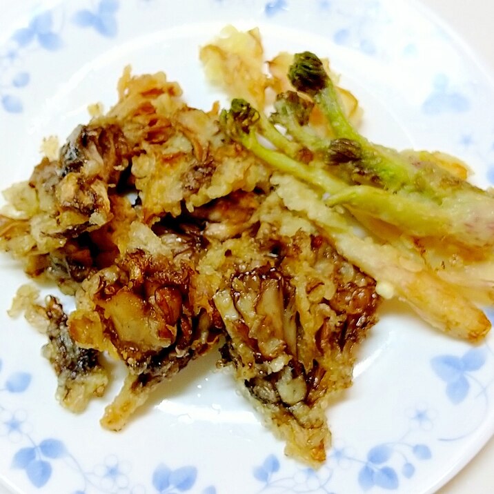 舞茸とうどの穂先の揚げ焼き